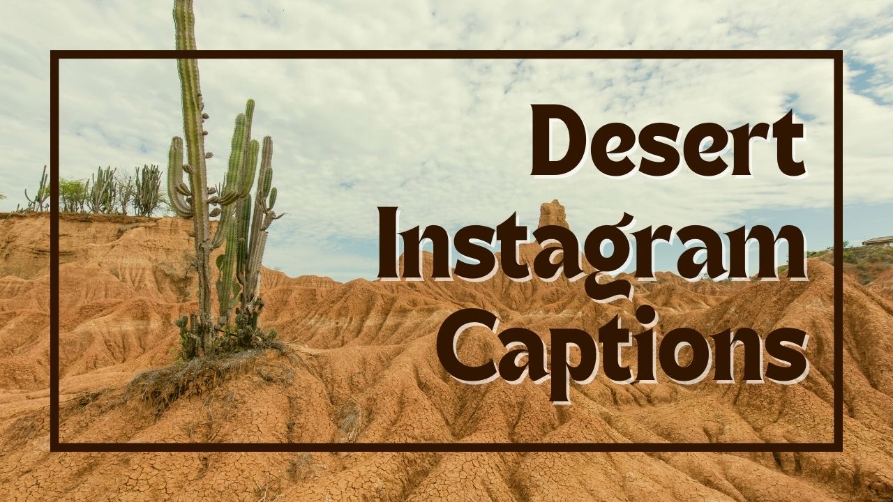 Over 100 episke ørken-instagramtekster til dine billeder