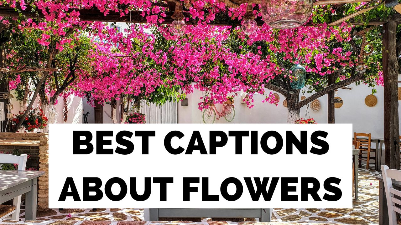 أفضل تعليق على الزهور على Instagram - إنها تزهر بشكل جيد!