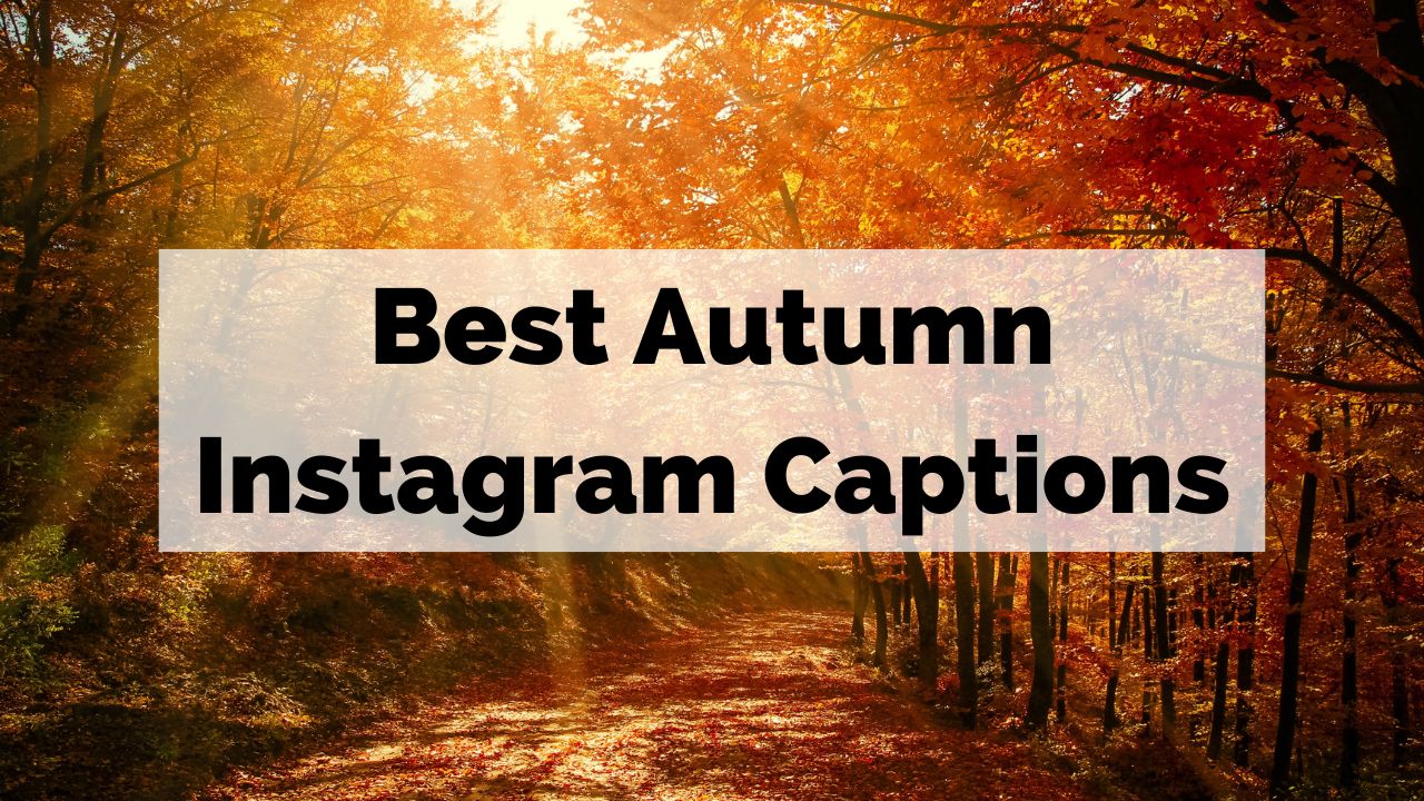 Efterårets bedste Instagram-tekster til dine gyldne efterårsbilleder
