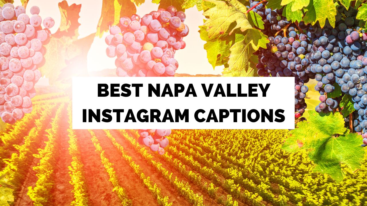 Chú thích trên Instagram của Thung lũng Napa
