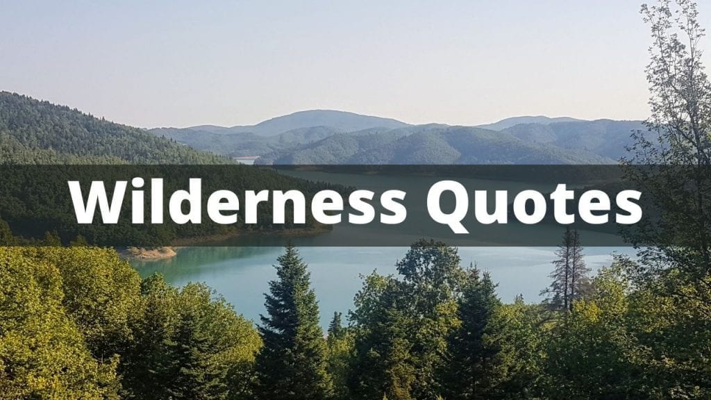 Epic Wilderness Quotes troch ûntdekkingsreizgers, auteurs en aventuriers