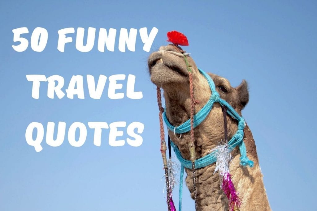 Смешные цитаты о путешествиях - 50 самых смешных цитат о путешествиях