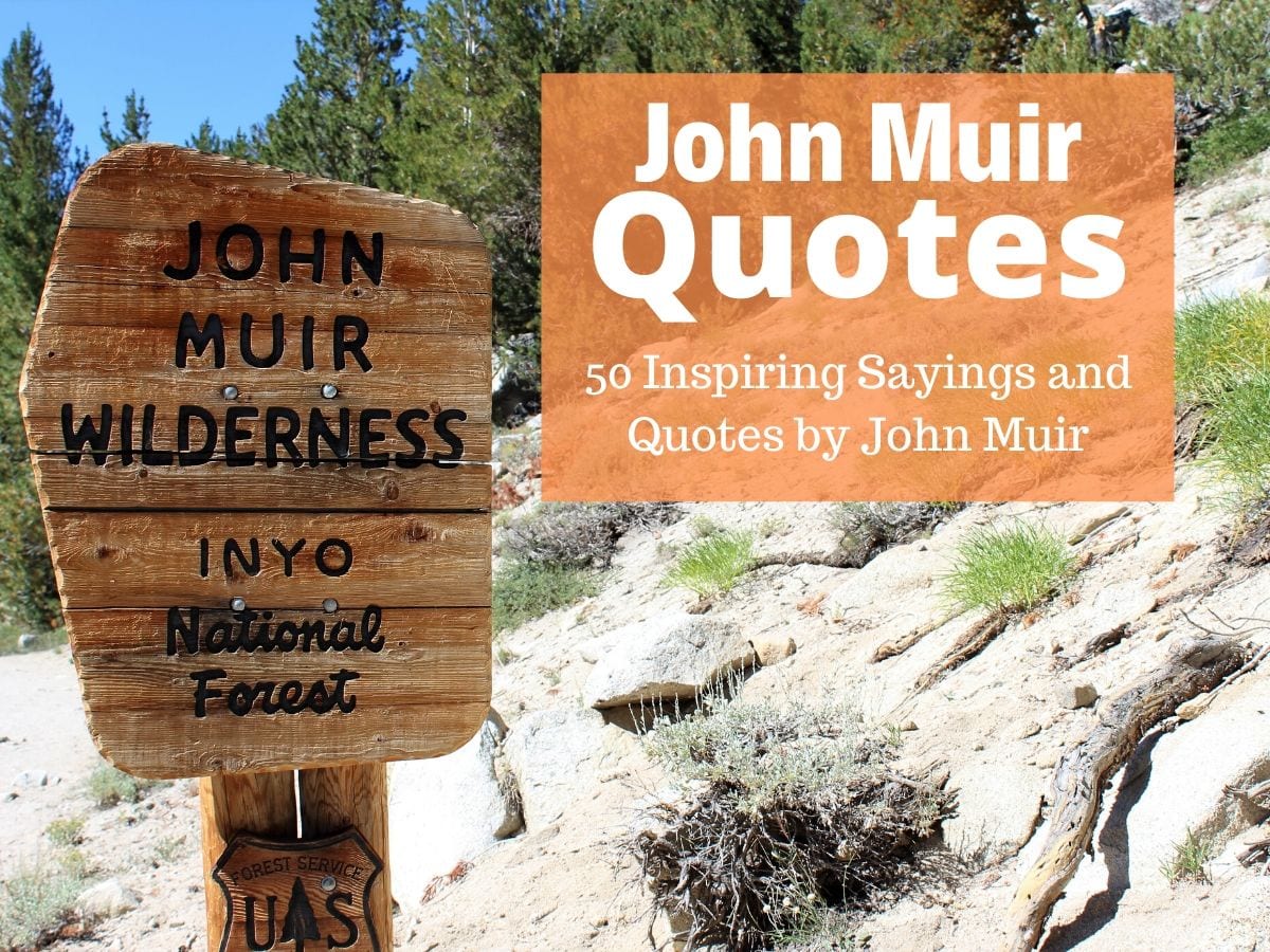 John Muir Citati - 50 navdihujočih izrekov in citatov Johna Muira